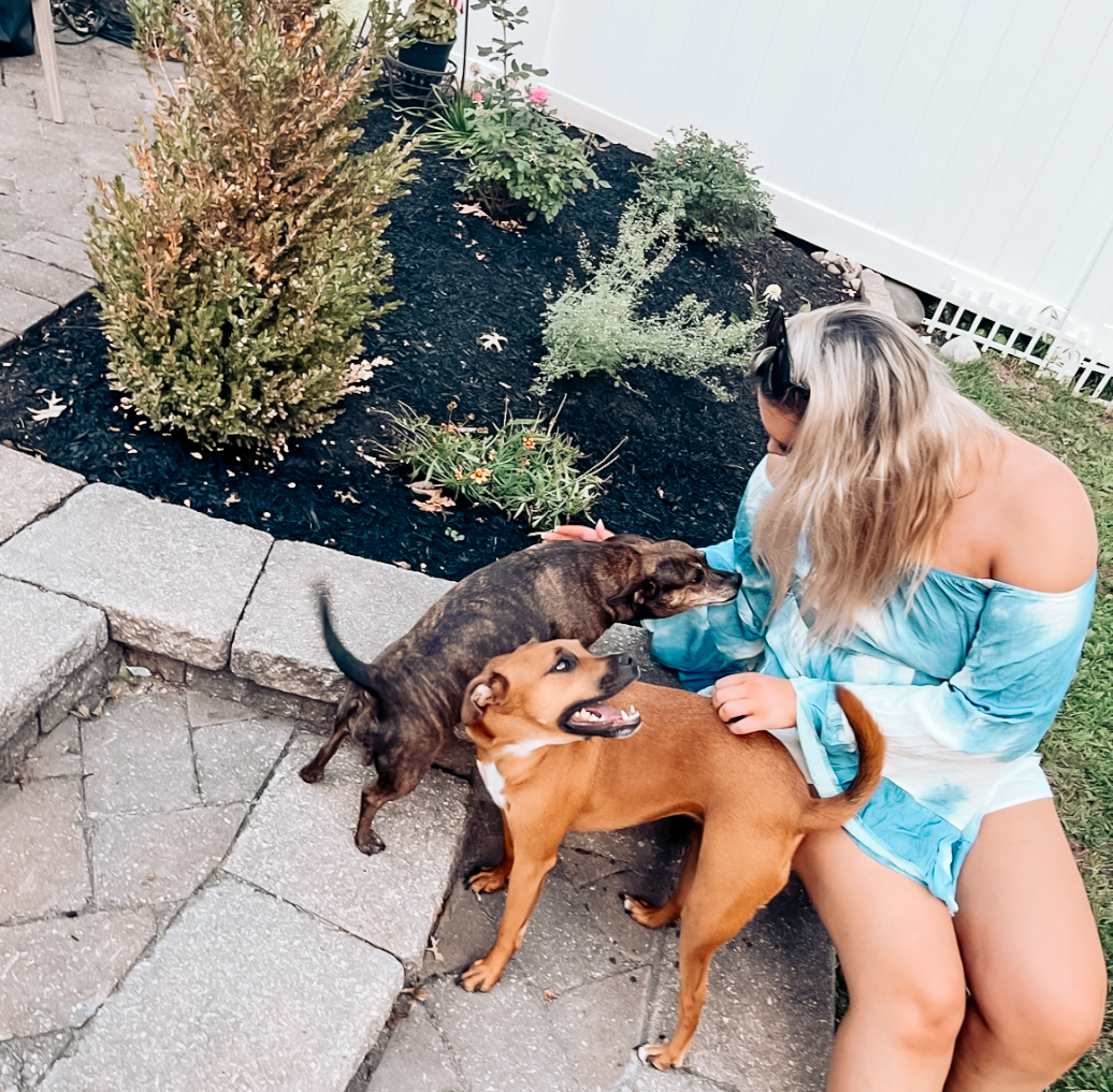 Pet receiving care during a drop-in visit
