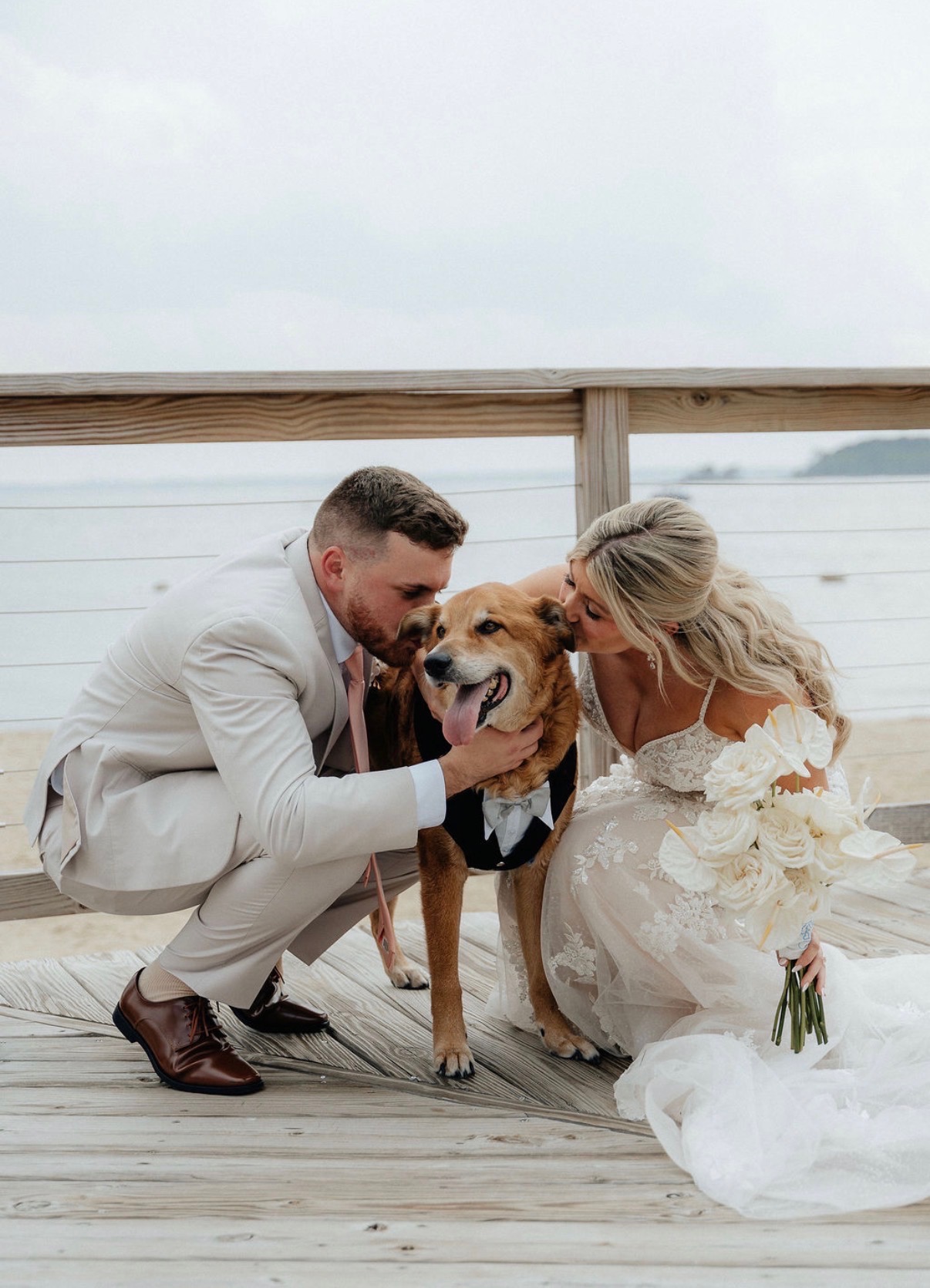 Dog participating in a wedding with Pawradise Pet Care