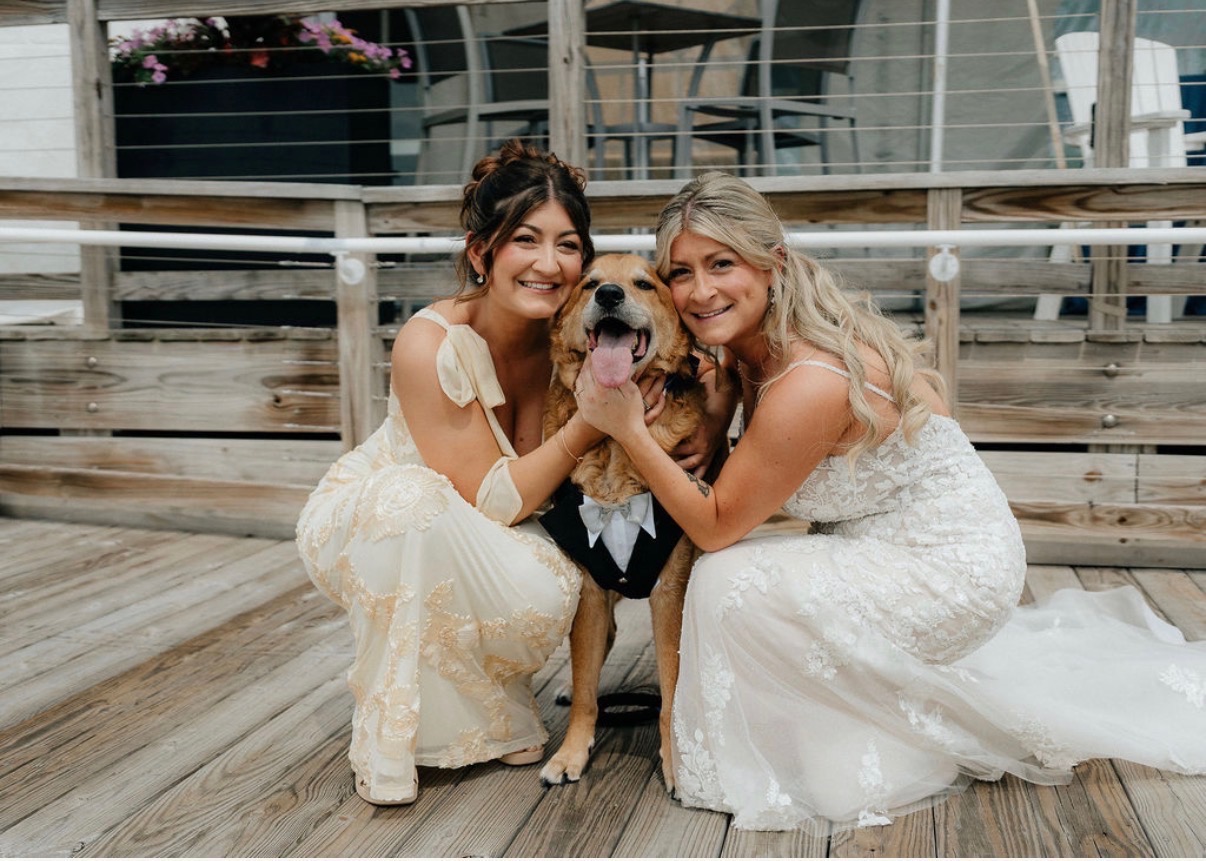 Wedding pet attendant caring for a dog during a wedding