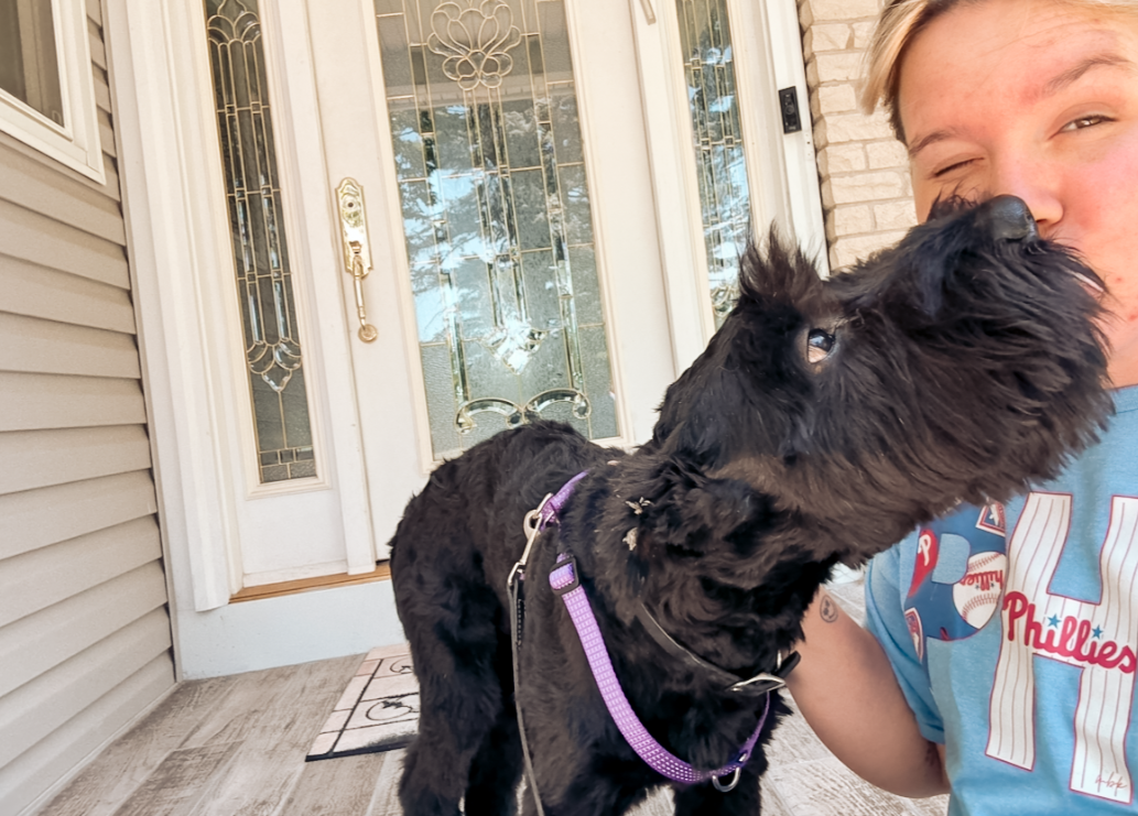 Personalized pet care services